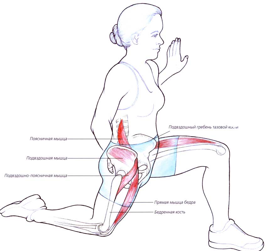 упражнение при тендините сухожилия подвздошно поясничной мышцы