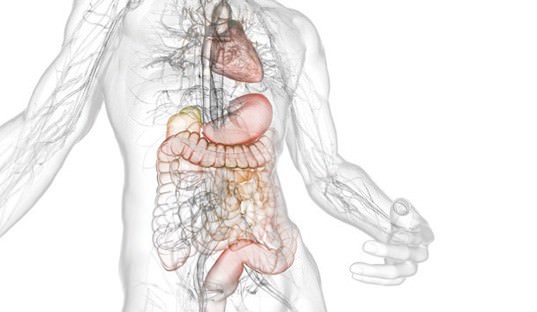 Анатомия человека ее строение болезни и их лечение thumbnail